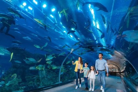 dubai aquarium and underwater zoo